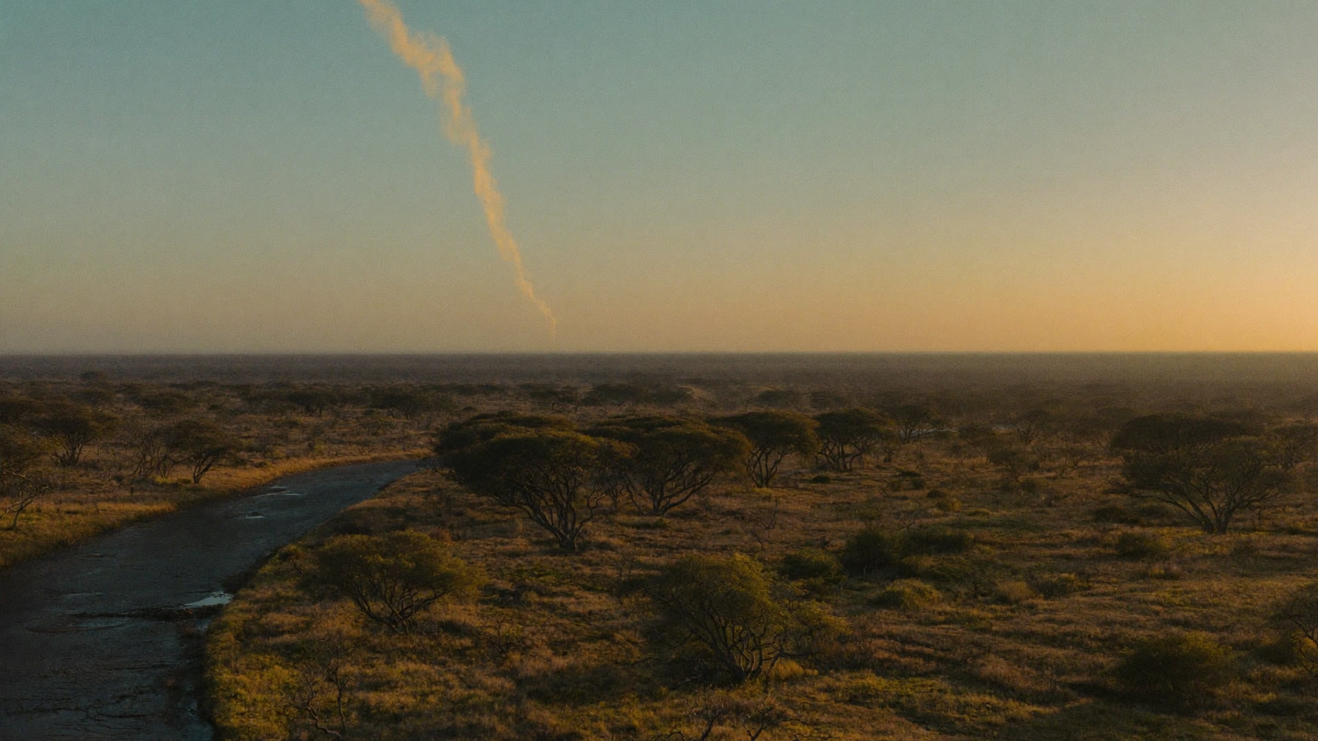 Kruger National Park lowveld at low golden light
