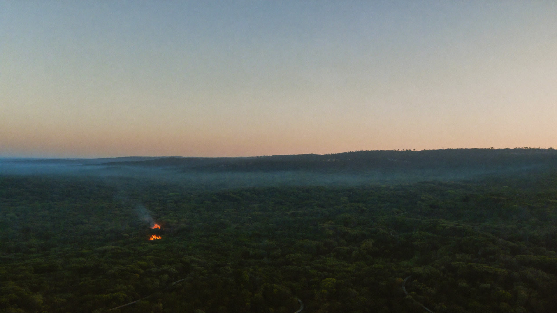 Miombo woodland at dawn with mist in the valleys