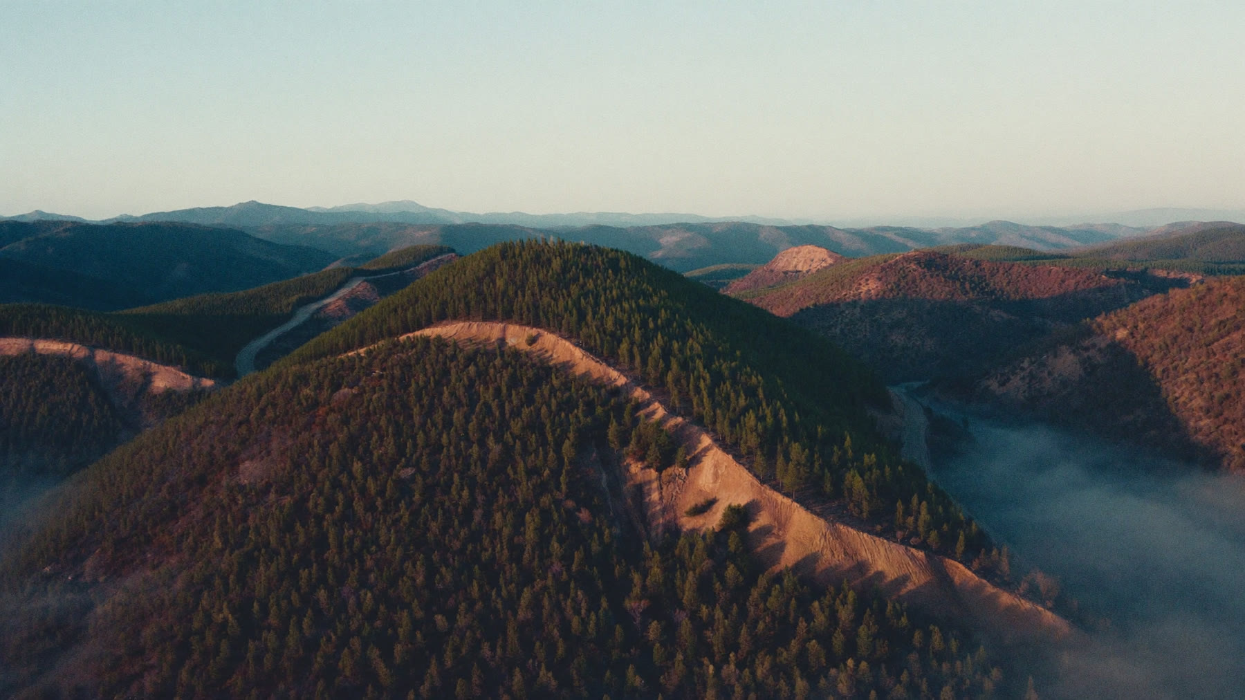 Pine plantation compartments on a steep escarpment with firebreaks cut through them